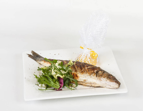 蔬菜鱸魚(yú)