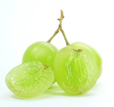 白底葡萄