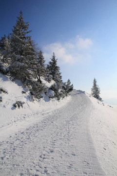 冬季景觀