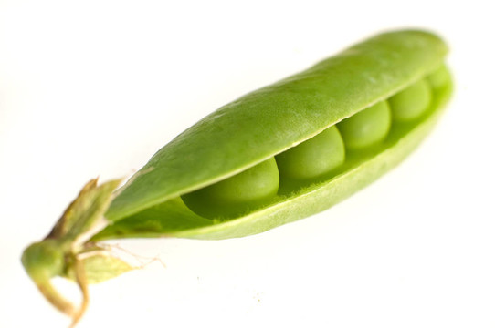 孤立的豌豆