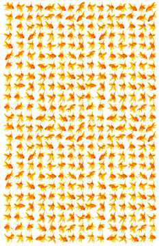 金魚
