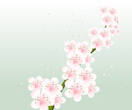 花的插圖