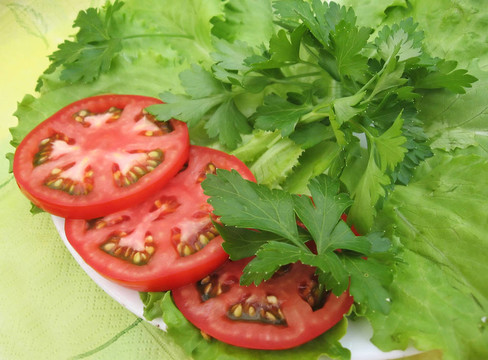 番茄；歐芹和萵苣