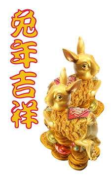 兔年