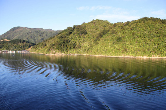 馬爾堡峽灣