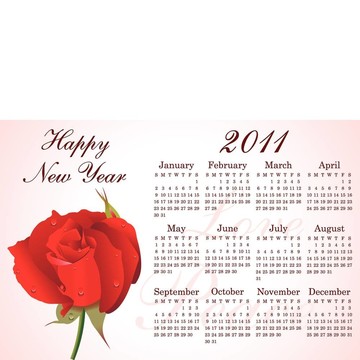 摘要2011日歷的玫瑰