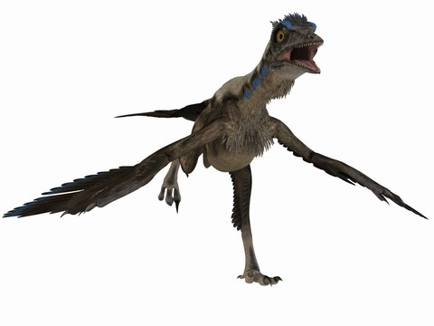 始祖鳥的3D恐龍