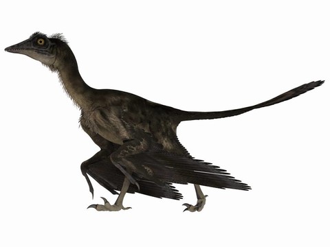 始祖鳥的3D恐龍
