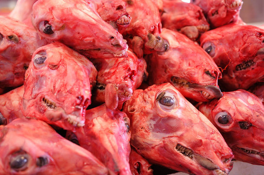Skinned Sheep的頭