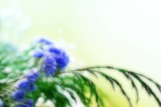 花香尾韻
