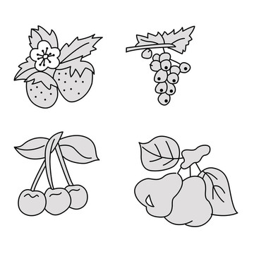 白色背景的漿果和水果；