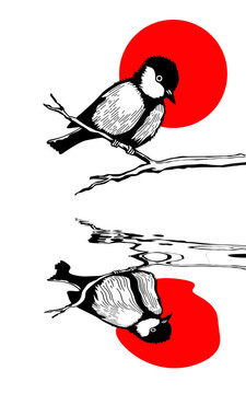 樹枝上的鳥剪影