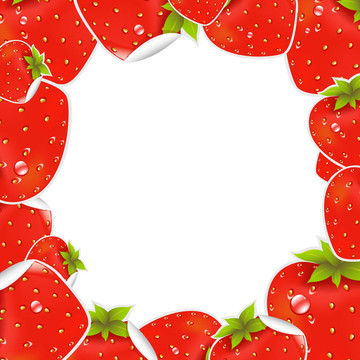 標(biāo)簽Strawberry框架