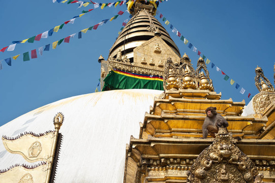 Swayambhunath Stupa -藏傳佛教最神圣的佛塔（金剛乘）。加德滿都；尼泊爾