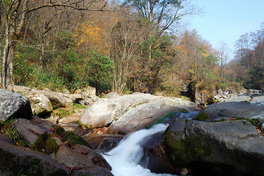 四川；中國；秋葉在高原
