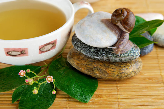 綠茶