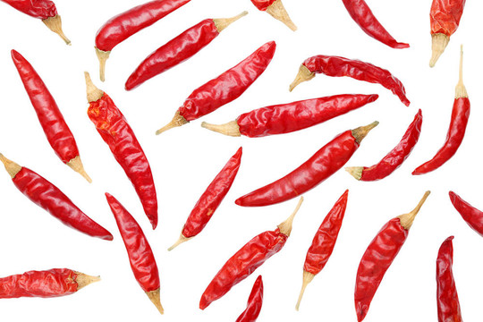 紅色的球迷