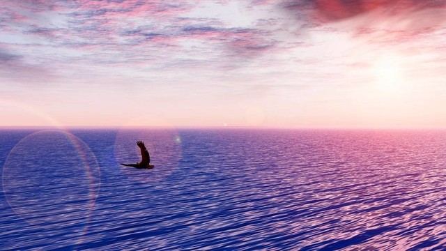 鷹擊長空