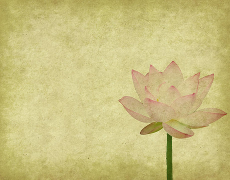 蓮花集抽象背景畫