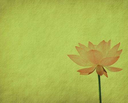 蓮花集抽象背景畫