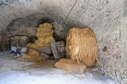 巴迪室內(nèi)城堡。Emilia Romagna。意大利.