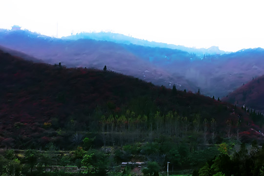 鞏義長(zhǎng)壽山紅葉 高清無(wú)噪