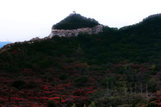 鞏義長(zhǎng)壽山紅葉 高清無(wú)噪