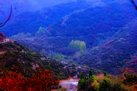 鞏義長壽山紅葉 高清無噪