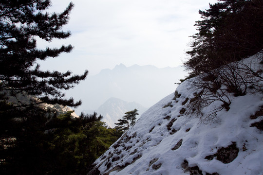 華山南峰景色