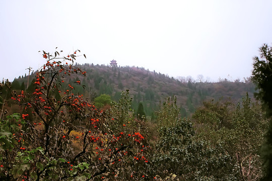 鞏義長壽山 高清無噪