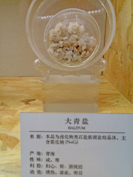 大青鹽 中藥材 中醫(yī)藥