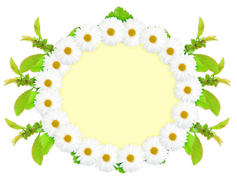 白花橢圓框