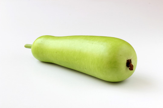 瓠子