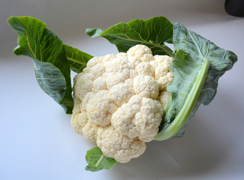 有機(jī)花菜