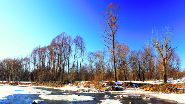 雪河樹林風(fēng)景