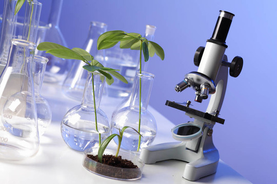 在綠色植物生物學(xué)實驗室