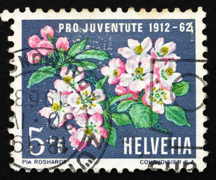 郵票瑞士1962蘋果花；蘋果樹；Malus