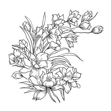 花束；手繪。