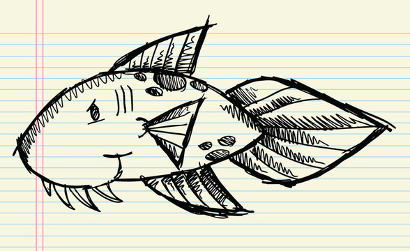 魚的素描涂鴉