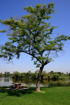 萊格湖野餐桌