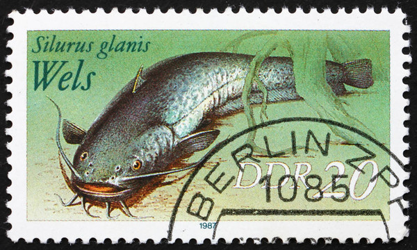 郵票GDR 1987鲇；Sheatfish；六須鯰魚