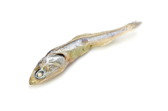 沙丁魚干