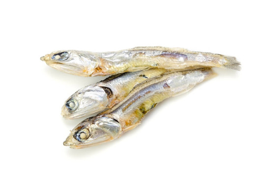 沙丁魚干