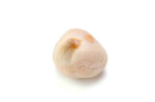 鷹嘴豆