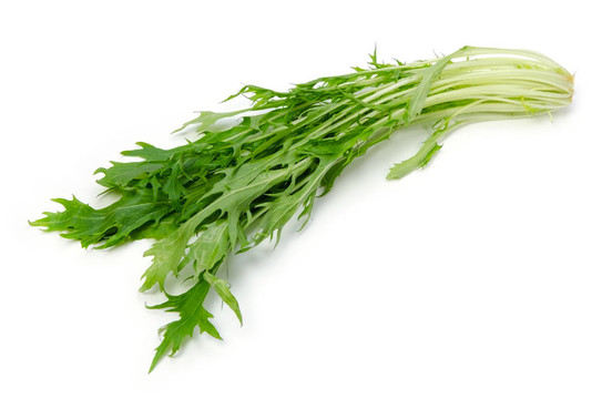 mizuna