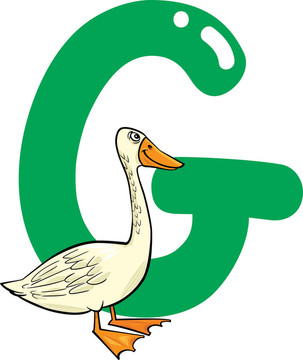 G鵝