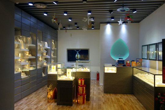 奢侈品店 首飾店