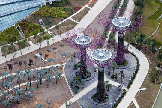 新加坡正在興建的新植物園
