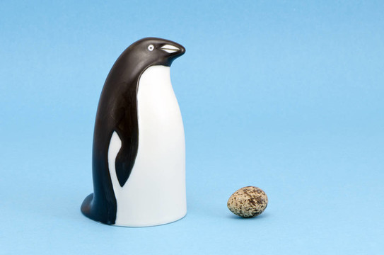 企鵝鳥雕塑和雞蛋孤立在藍色