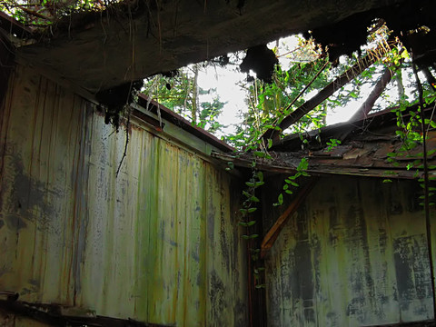 老建筑